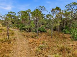 Bluefield Ranch Hunting Preserve