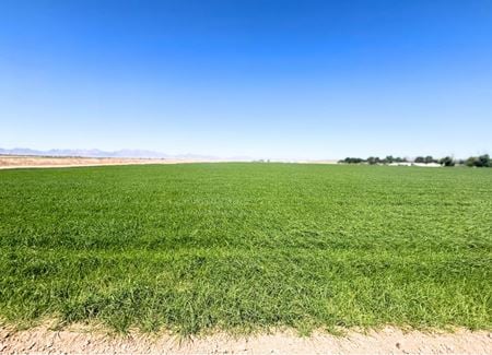 VacantLand space for Sale at Excellent Vegetable Farmland: ±110 Water Acres in Wellton in Wellton