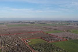 161 +/- ACRES Agricultural Land
