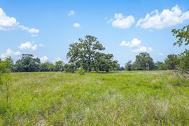 11504 N Dowling Road