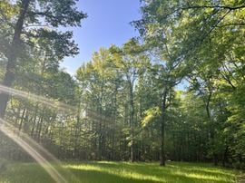 Mt. Willing Reserve