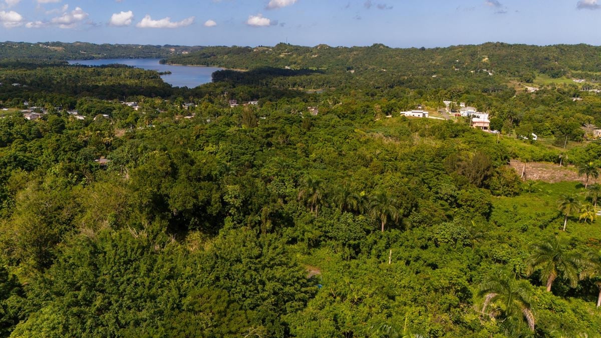 San Sebastian Vacant Land Parcel - For Sale