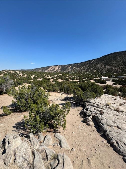 Cedar Ridge Loop & Lava Rd