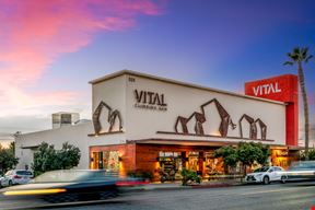 Vital Climbing Gym
