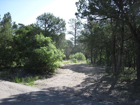 Photo of commercial space at 29 Lark Rd in Tijeras
