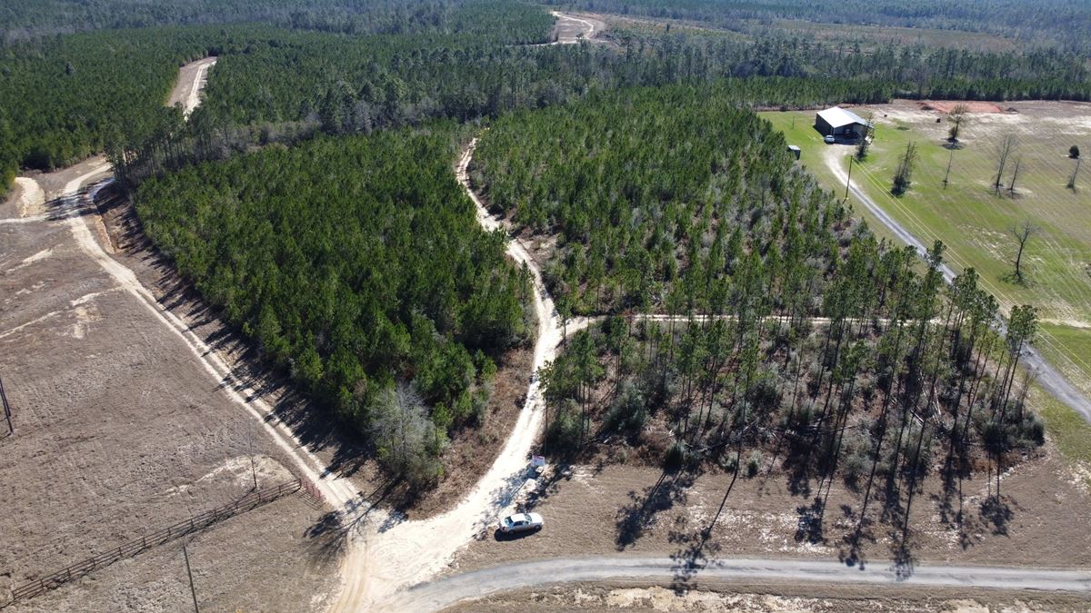 Treetop Ridge Road