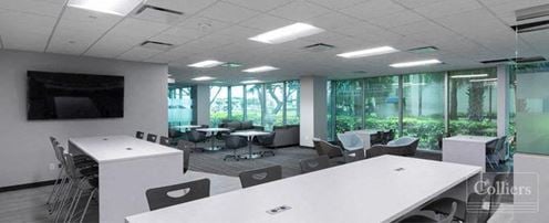 Coastal Tower Stands Alone | 2400 Commercial Boulevard - Class A Office space