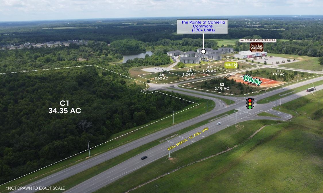 Camellia Commons- Land Available for Sale