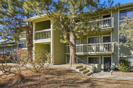 The Pines Apartments