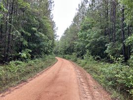 Fox Pen Tract