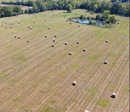 VacantLand space for Sale at 0 Mathews Road in Pike Road