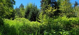 8.38 Acres Residential Development Land