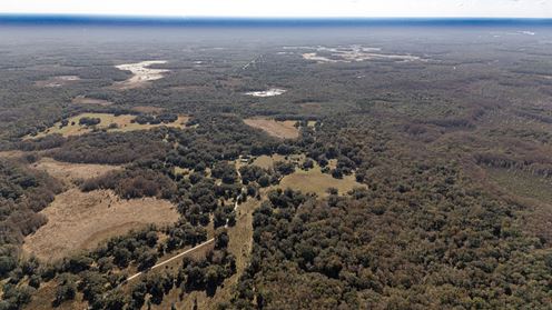 Citrus County Ranch and Recreational Tract