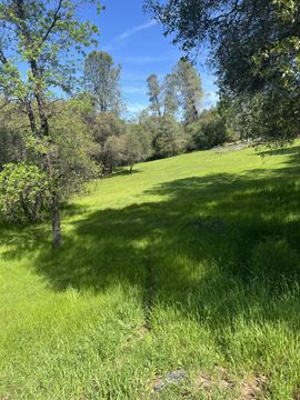 Diamond Springs Land