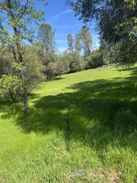 Diamond Springs Land