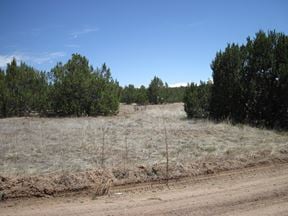 110 Jesse James Rd