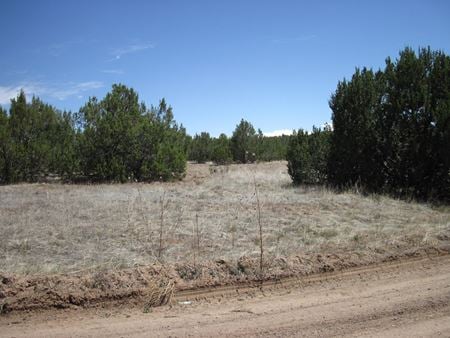 VacantLand space for Sale at 110 Jesse James Rd in Edgewood