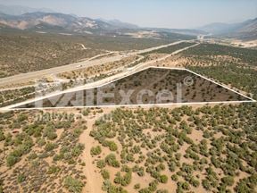 I-15 Interchange and Frontage