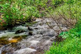 Water & Stone Cabins | 14-Keys | C-3 Zoning | Live Creek Frontage | 6.7 CAP