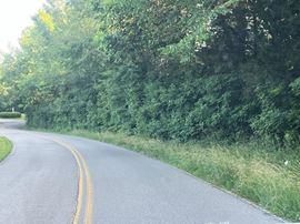 Jarrell Ridge Rd