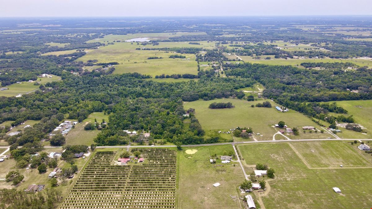 Curley Road Ranch