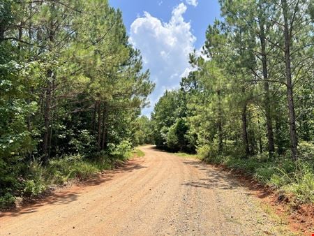 VacantLand space for Sale at 0 Woods Road in Weoka