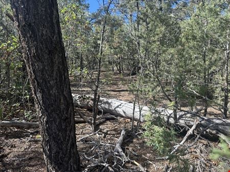 VacantLand space for Sale at 9 Camino Sombreado in Tijeras
