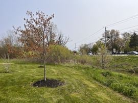 3571 Niagara Falls Blvd. 