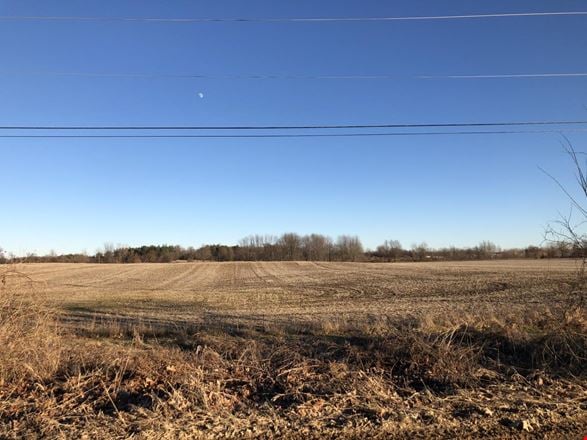 Vacant Land - 20 Acres - Grove Rd 