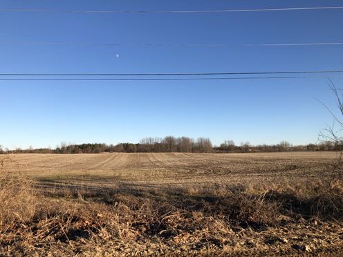 Vacant Land - 20 Acres - Grove Rd 