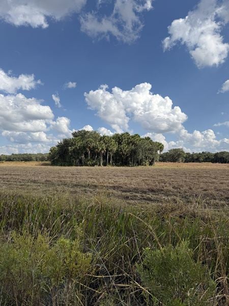 VacantLand space for Sale at US-441 North in Okeechobee