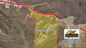 80 ACRE DEVELOPMENT SITE NEXT TO SILVER DOLLAR CITY AND NEW RESORT