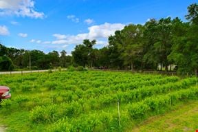 Organic Farm
