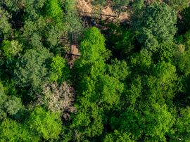 Goochland Land