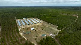 Timber Ridge Farm - Poultry and Homeplace Package