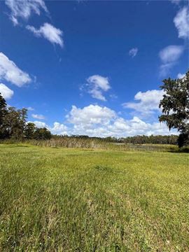 4.7 AC, Multi-Use Development Site, Directly on Van Dyke Rd, Lutz
