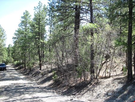 VacantLand space for Sale at 35 Green Shadow Ln in Tijeras