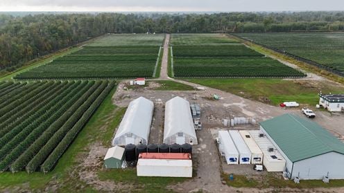 Tawas City - Former Operating/Turnkey Cannabis Outdoor Cultivation Operation