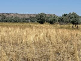 10± Development Acres Off Billings Arterial Road