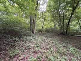 152.86± Acre Land Assemblage - Knox Ln & Beech St, Clarksville TN