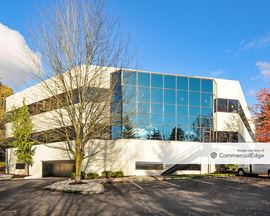 Overlake 520