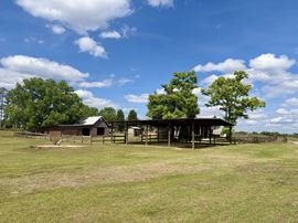 McKenzie Grade Hobby Farm