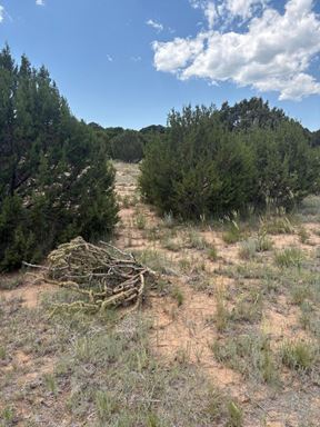 8 Arroyo de Tajique Rd