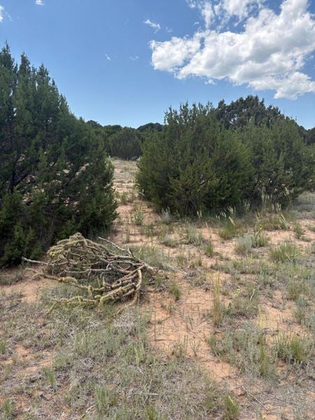 VacantLand space for Sale at 8 Arroyo de Tajique Rd in Tajique