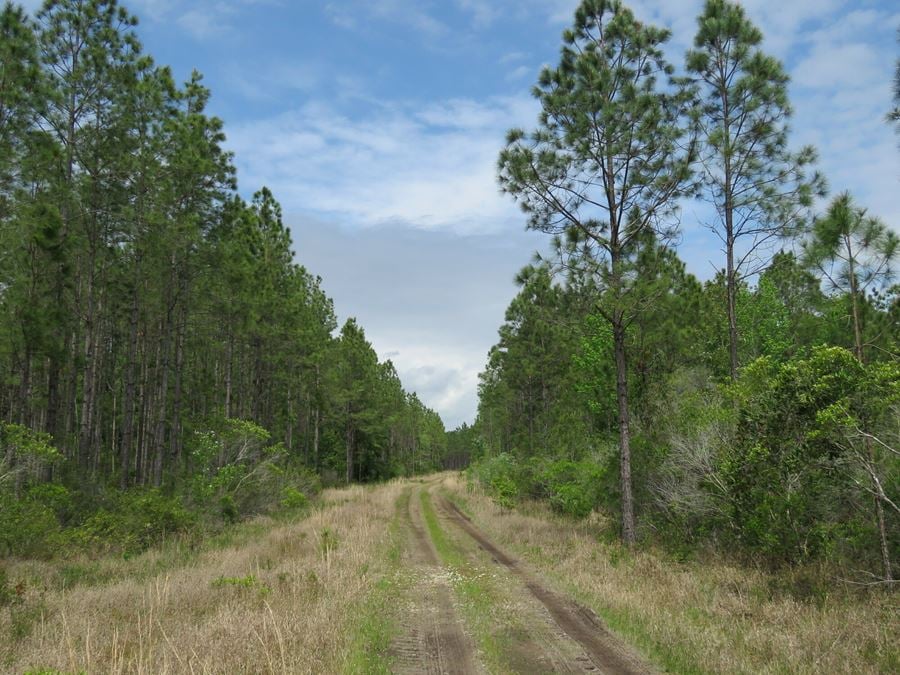 Otter Creek West Tract