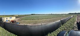 Turner - Former Operating Outdoor Cultivation