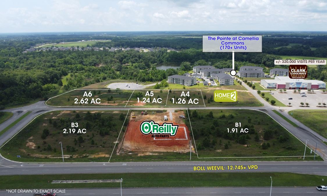 Camellia Commons- Land Available for Sale