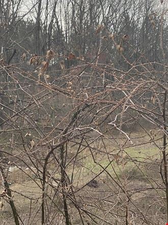 1200 Old Elkridge Landing Road