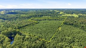 Town Creek Timber 40 Acres