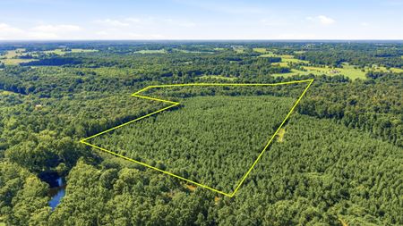 VacantLand space for Sale at 906a County Road 318 in Dawson